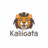 System Administrator